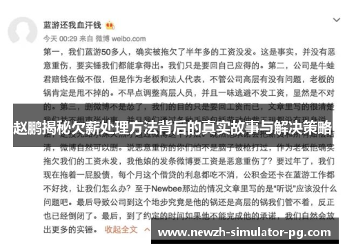 赵鹏揭秘欠薪处理方法背后的真实故事与解决策略