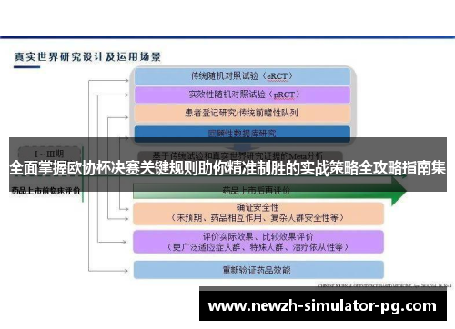 全面掌握欧协杯决赛关键规则助你精准制胜的实战策略全攻略指南集