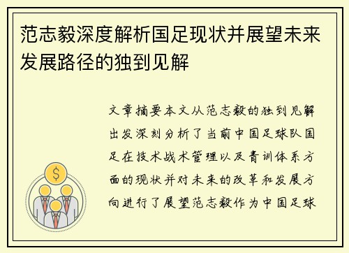 范志毅深度解析国足现状并展望未来发展路径的独到见解
