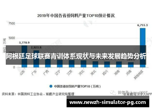 阿根廷足球联赛青训体系现状与未来发展趋势分析