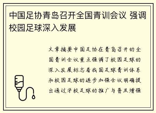 中国足协青岛召开全国青训会议 强调校园足球深入发展